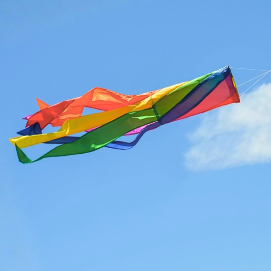 Windsocks