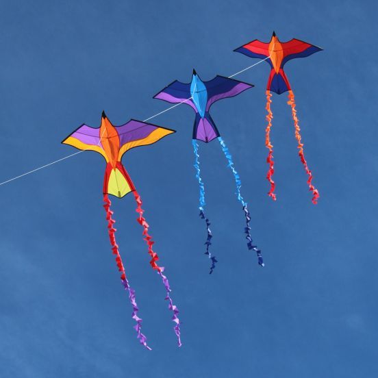 Creative Kite Design