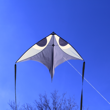 Glider Kites