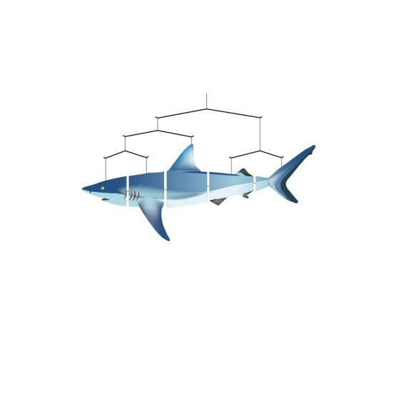 Ocean Mobile