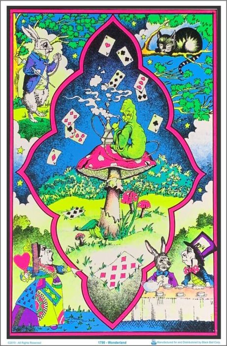 Black Light Poster