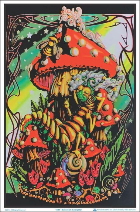 Black Light Poster