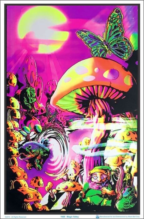 Black Light Poster
