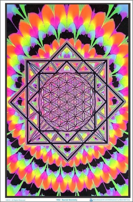 Black Light Poster