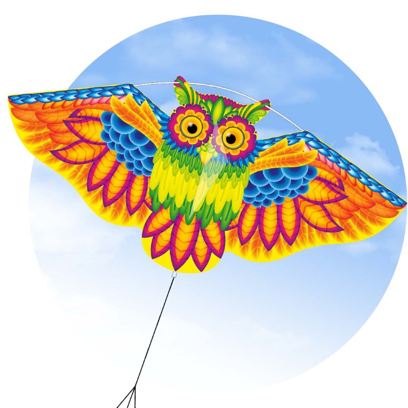 Eco Owl Kite
