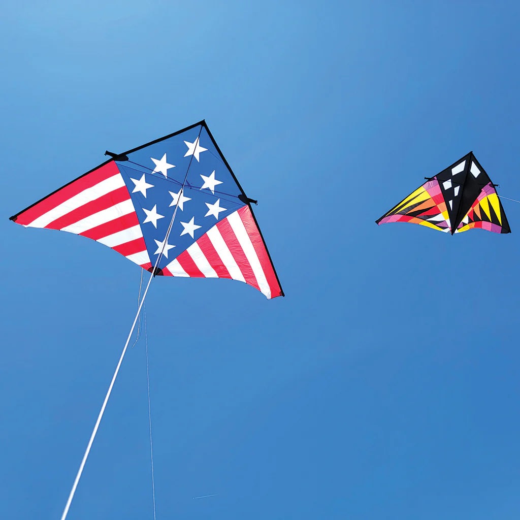 Premier Sweet 16 Delta Kite