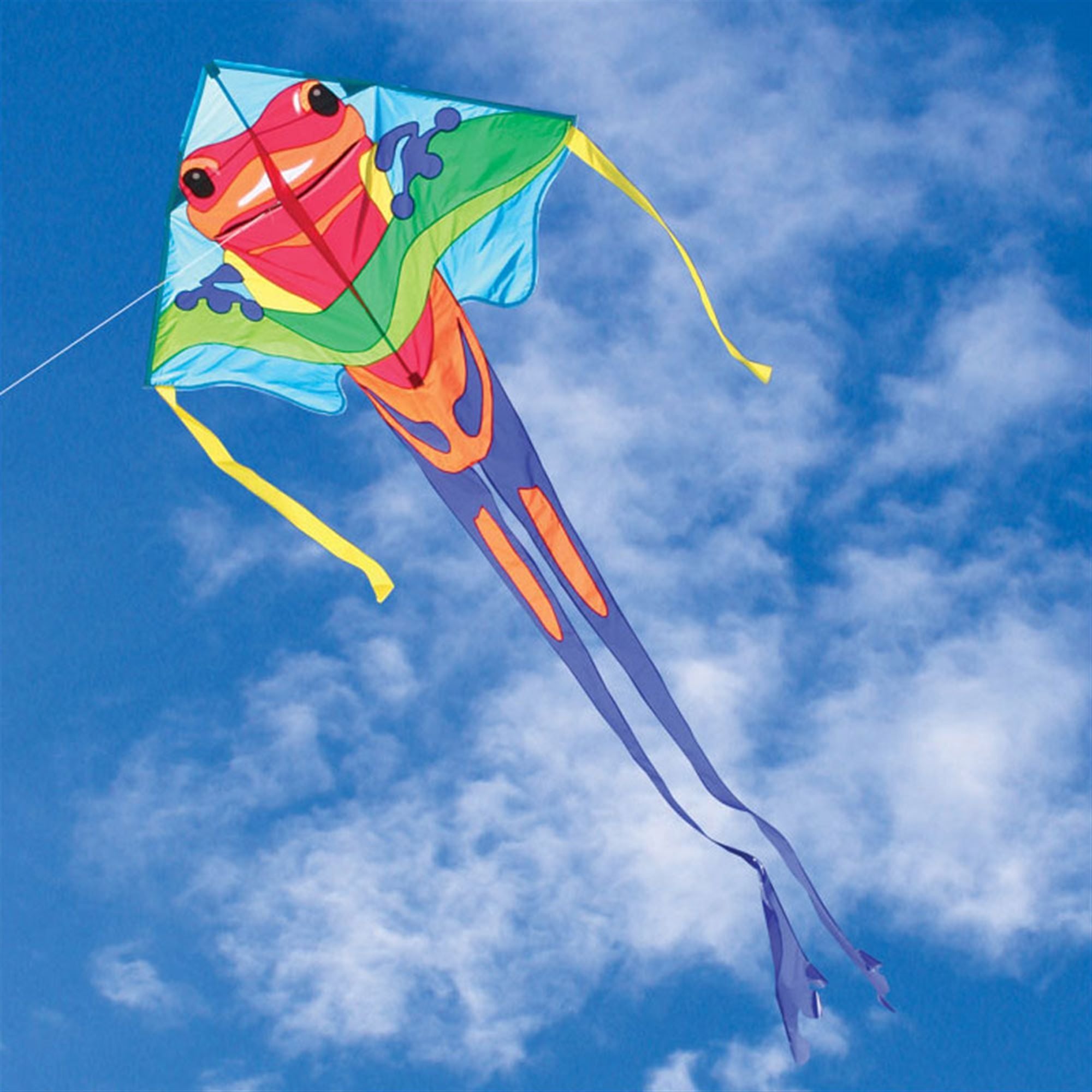 Easy Flyer Delta Kite