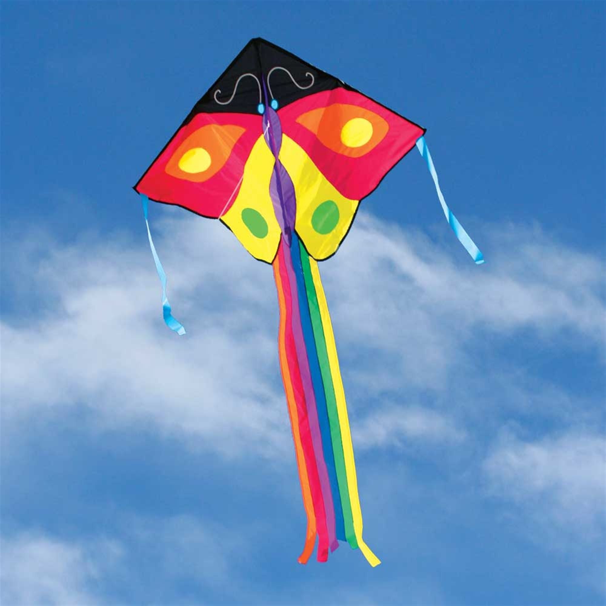 Easy Flyer Delta Kite