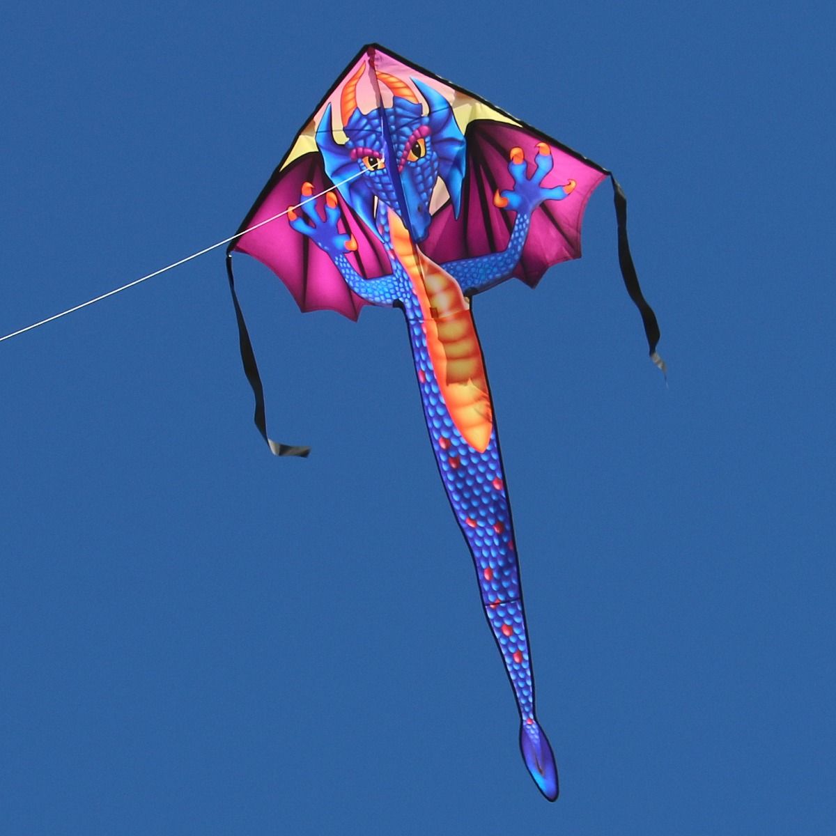 Easy Flyer Delta Kite