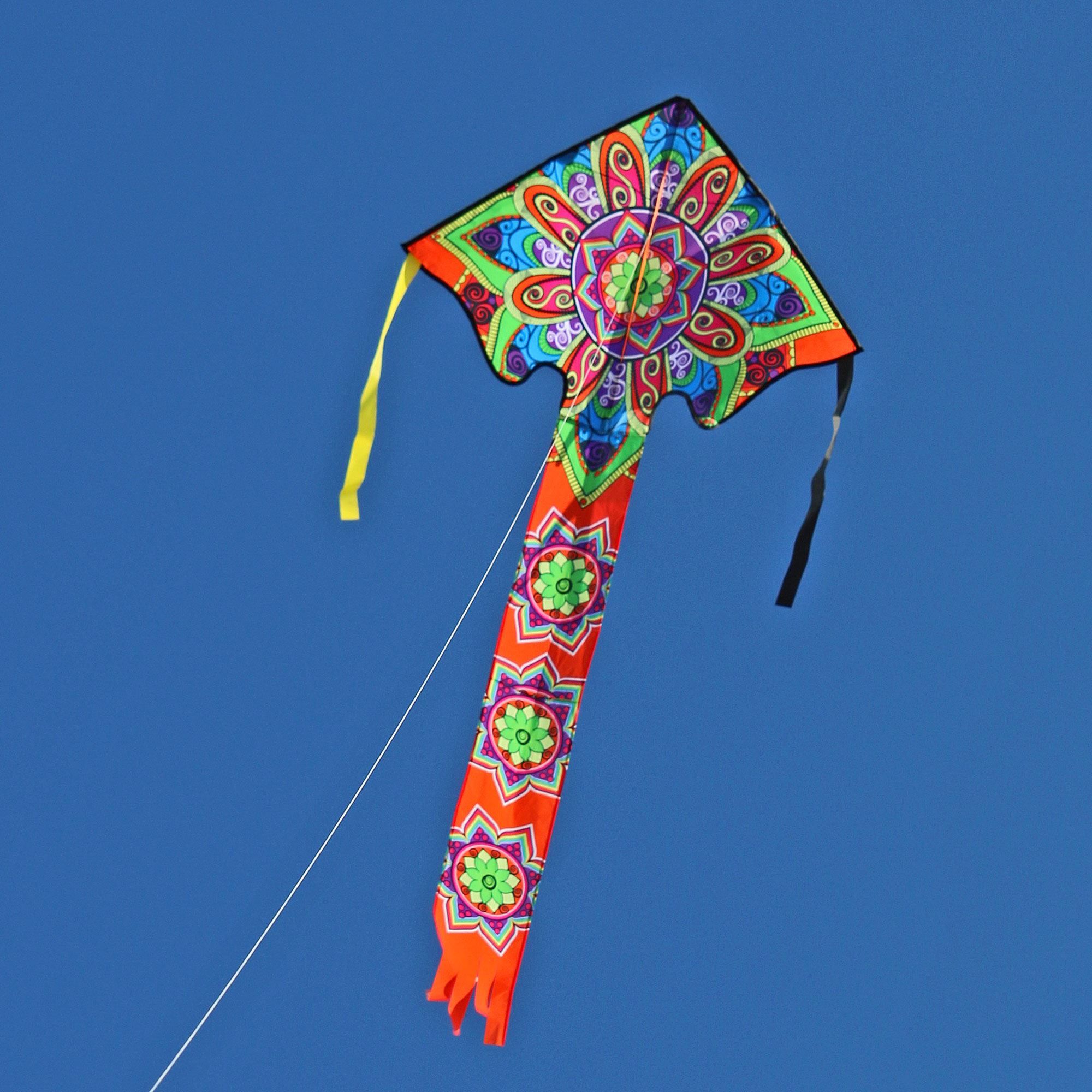 Easy Flyer Delta Kite