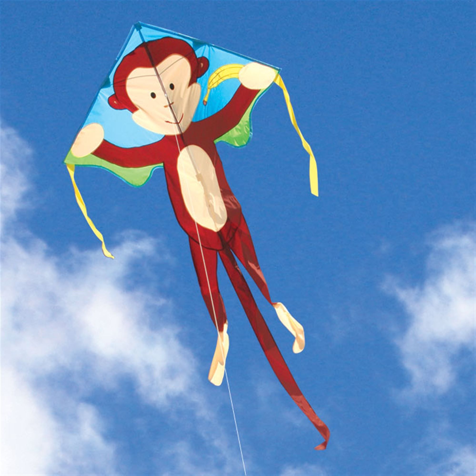 Easy Flyer Delta Kite