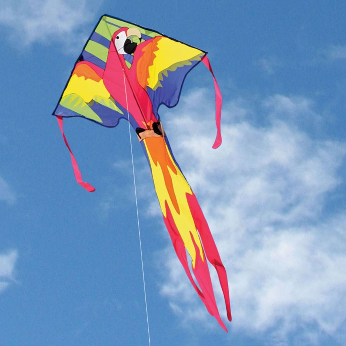 Easy Flyer Delta Kite