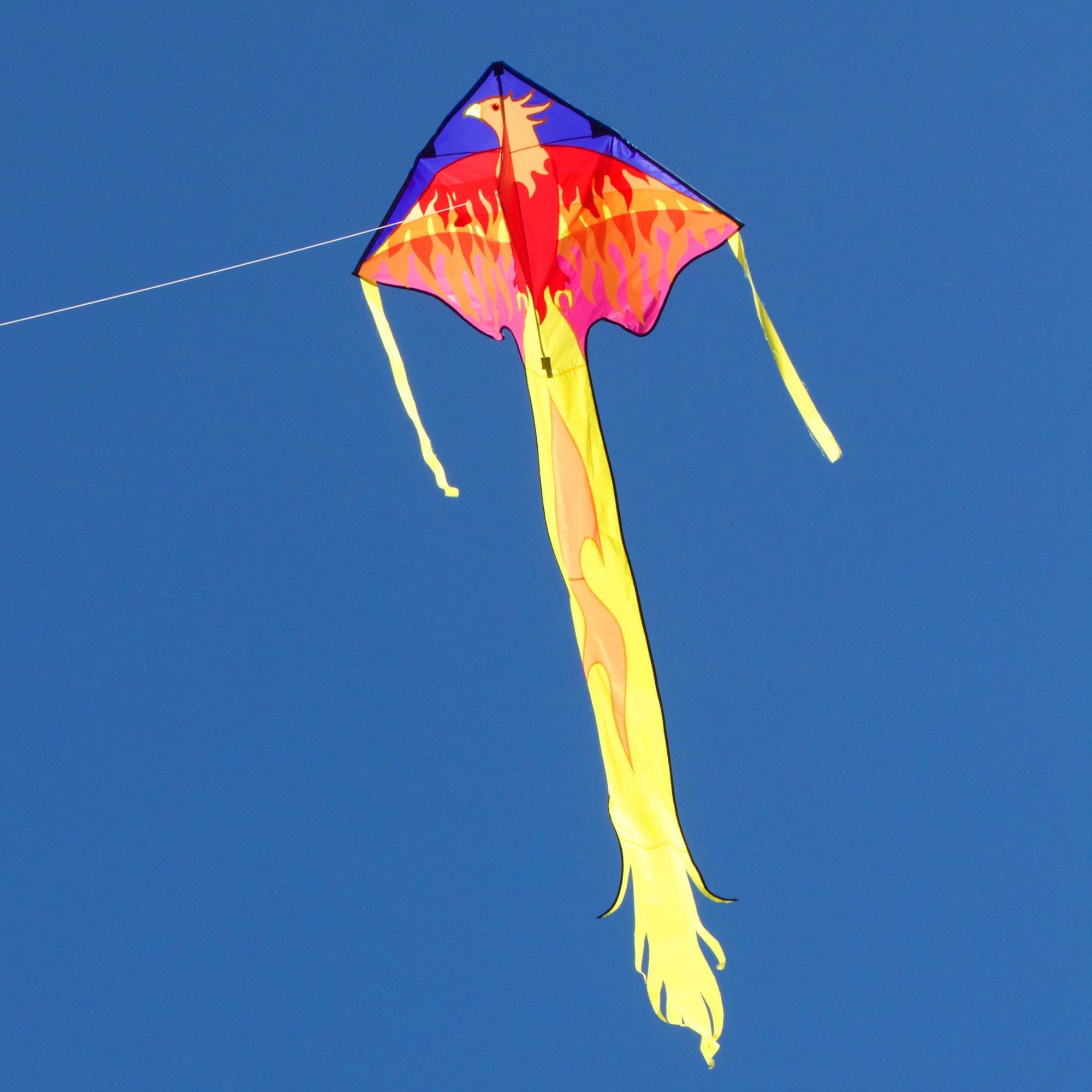 Easy Flyer Delta Kite