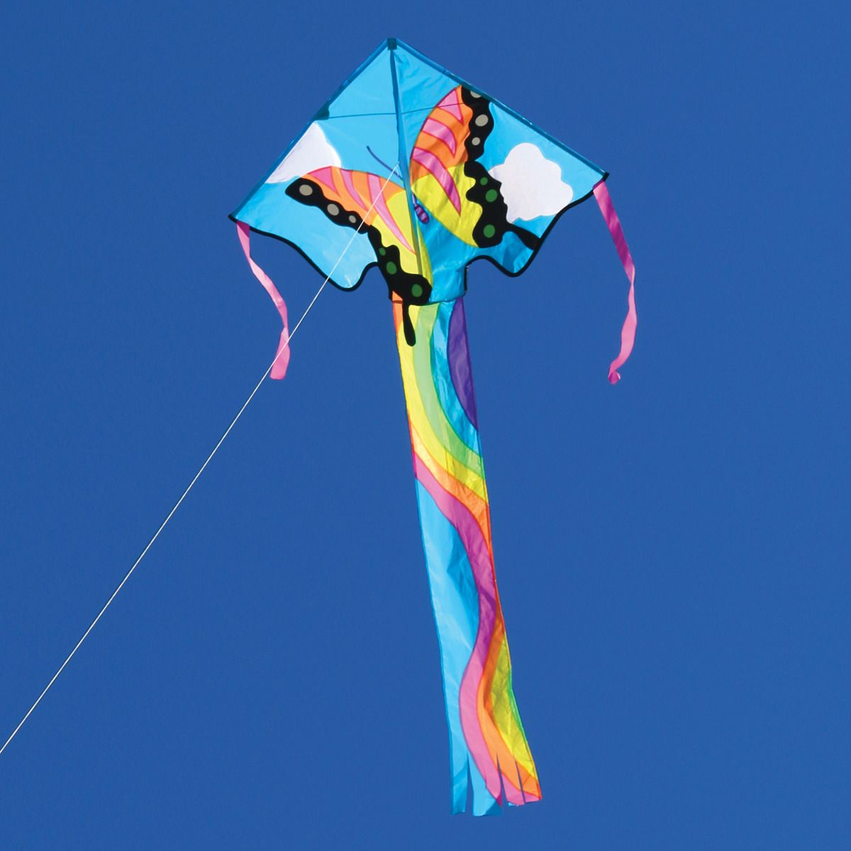 Easy Flyer Delta Kite