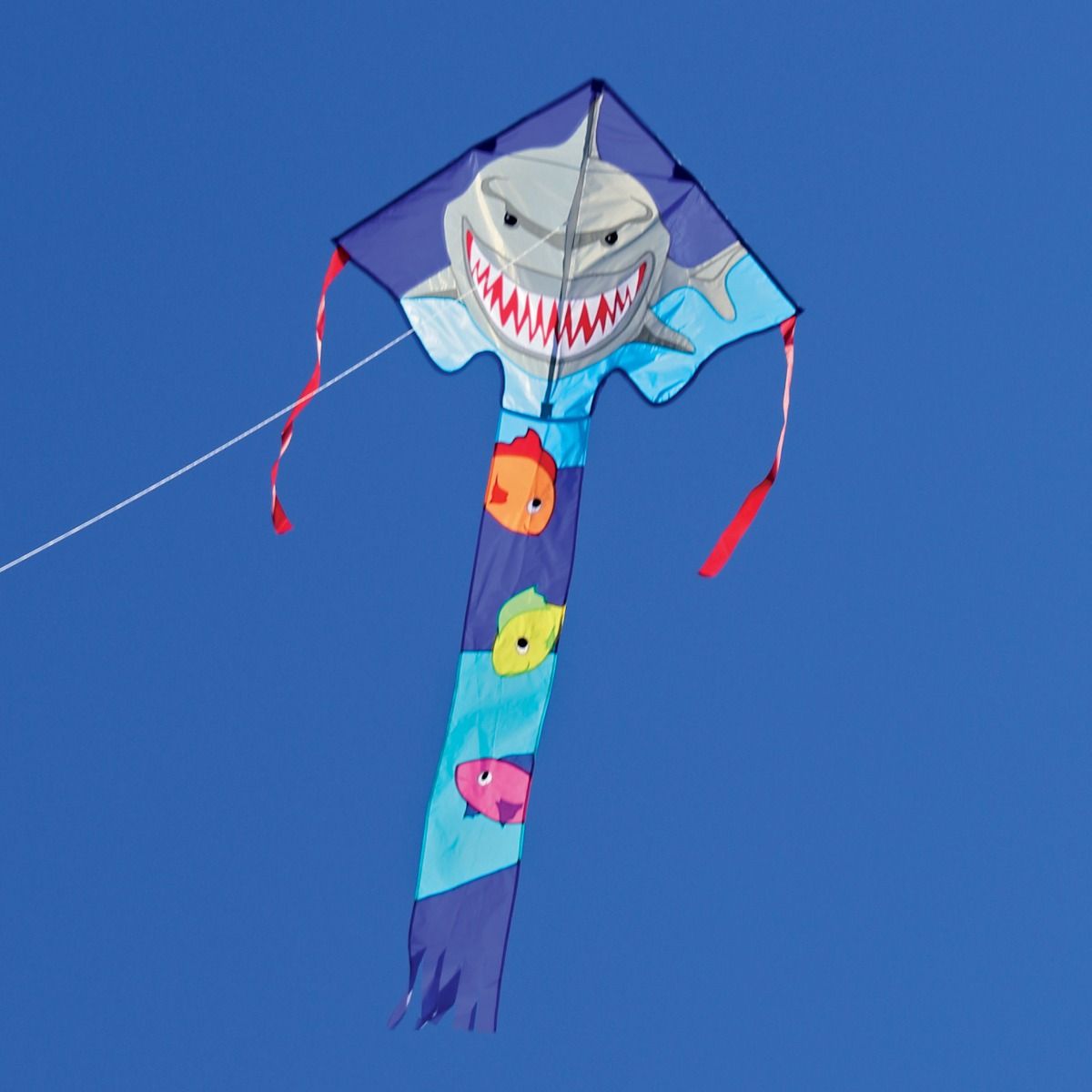 Easy Flyer Delta Kite