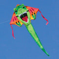 Easy Flyer Delta Kite