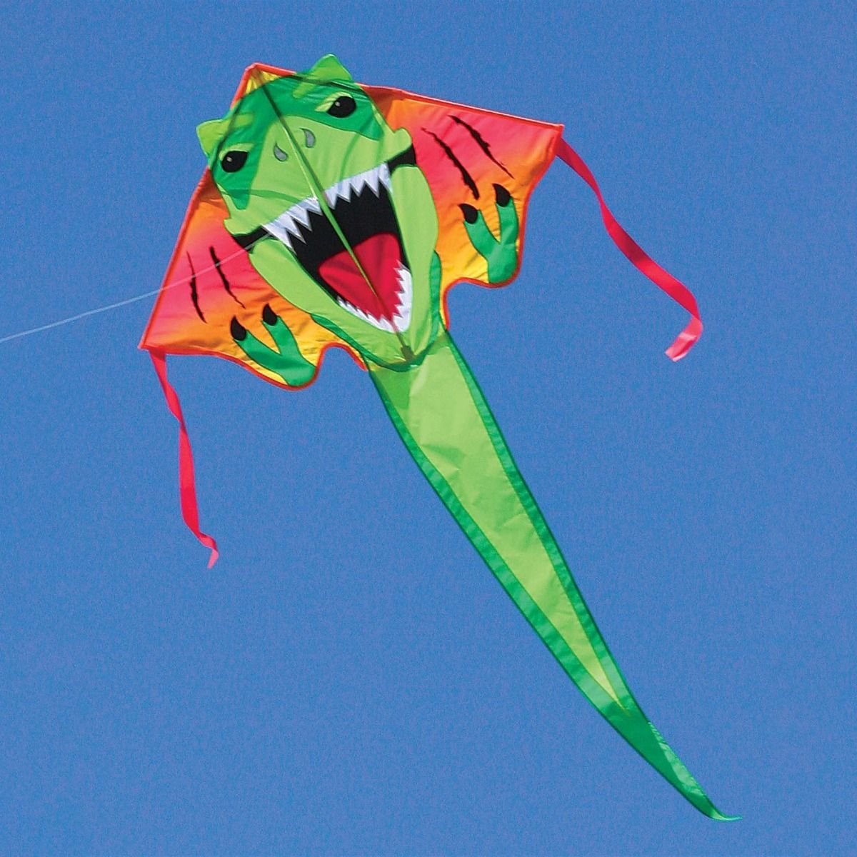 Easy Flyer Delta Kite