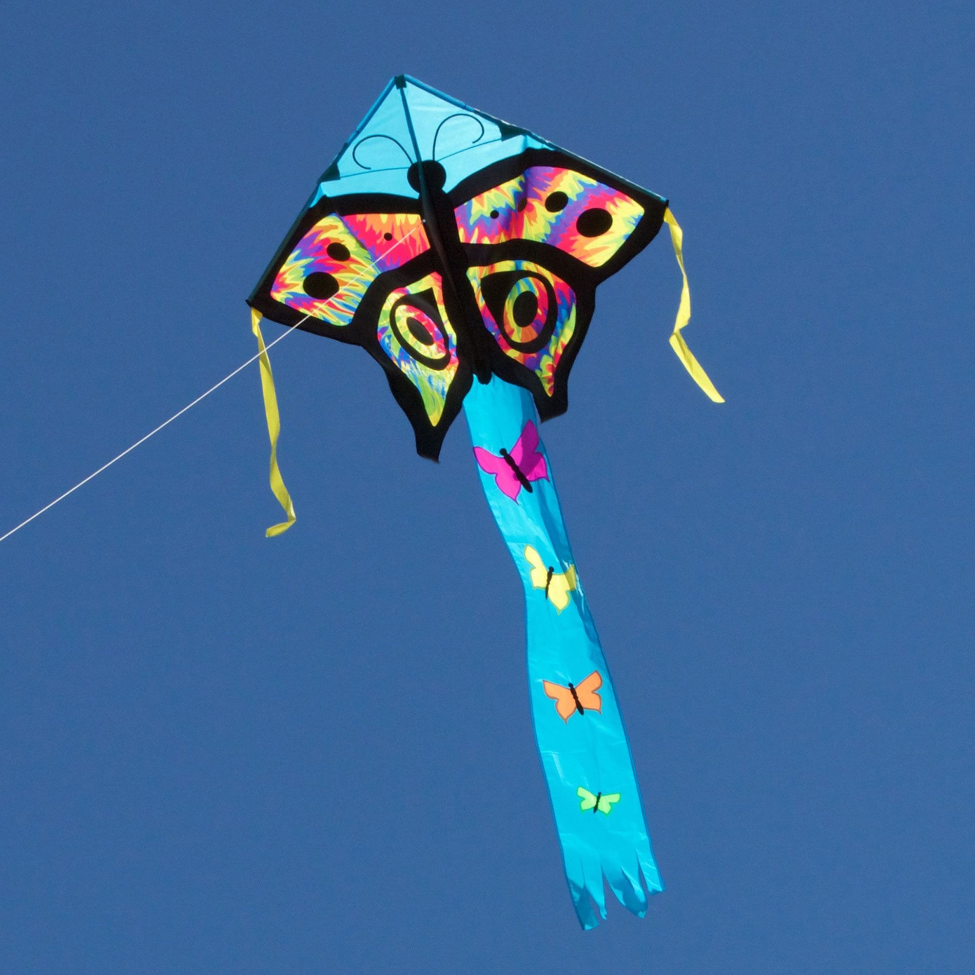 Easy Flyer Delta Kite