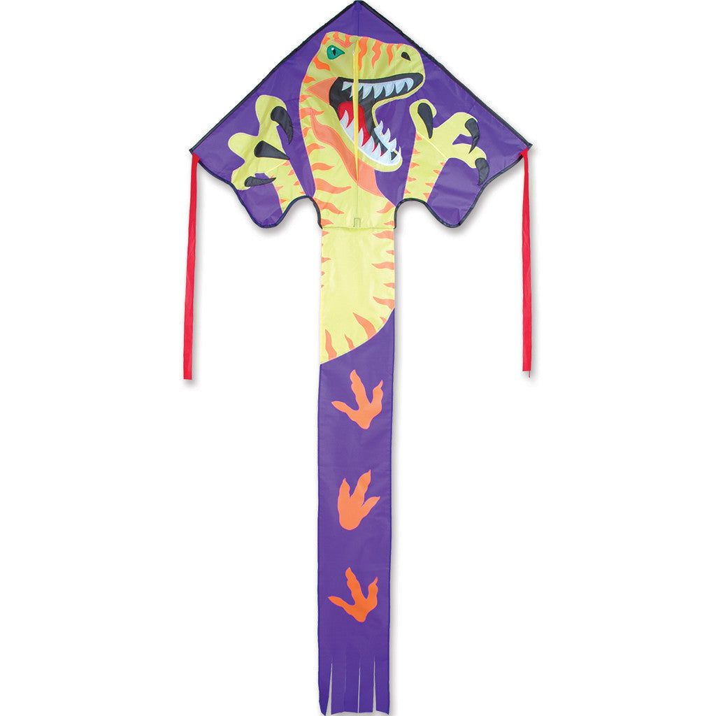 Easy Flyer Delta Kite