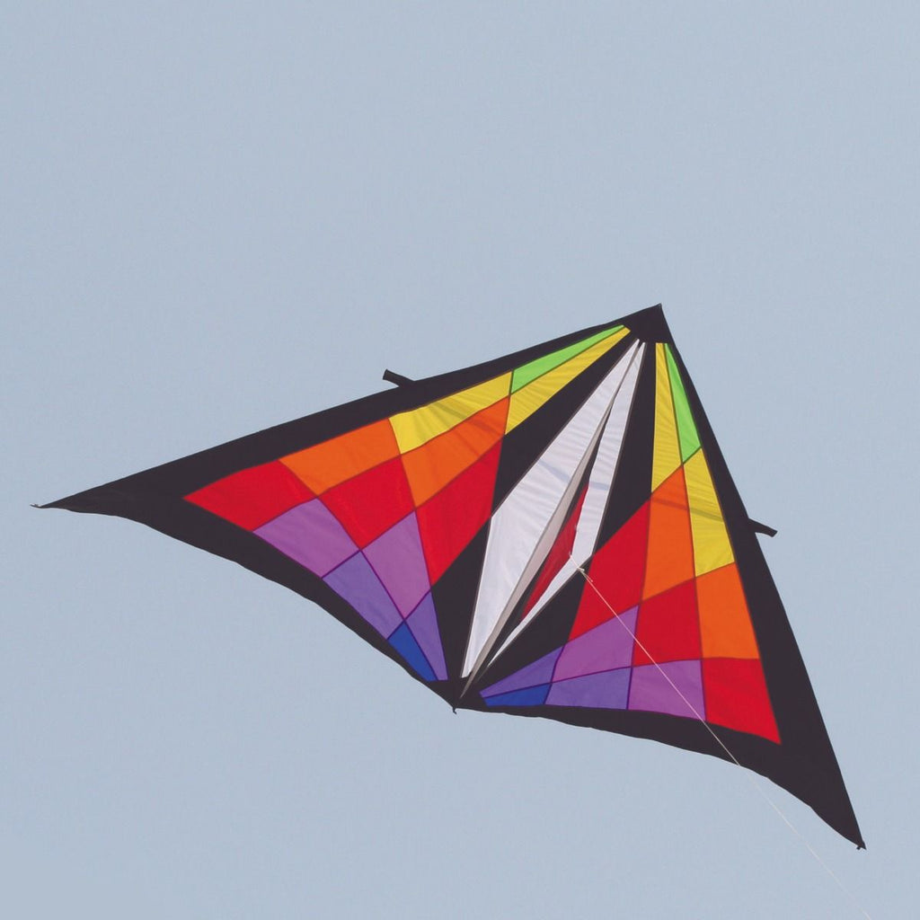 11ft Grand Delta Kite