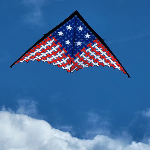 11ft Mesh Delta Kite