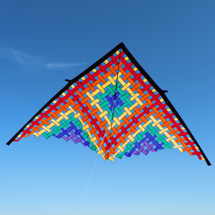 11ft Mesh Delta Kite
