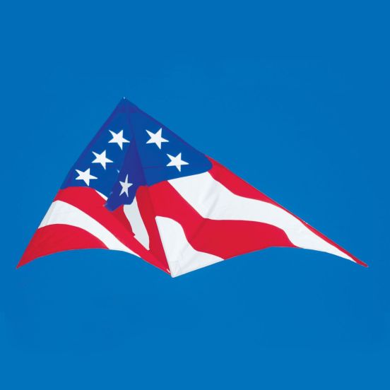11ft Grand Delta Kite