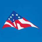 11ft Grand Delta Kite