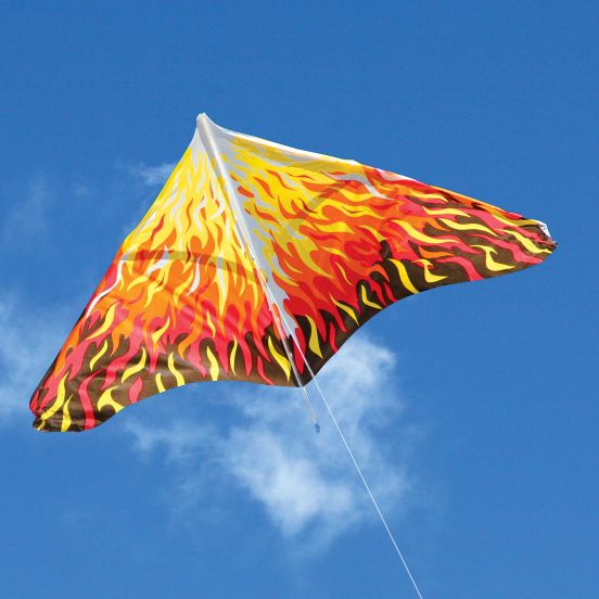 Gayla Trendsetter Delta Kite