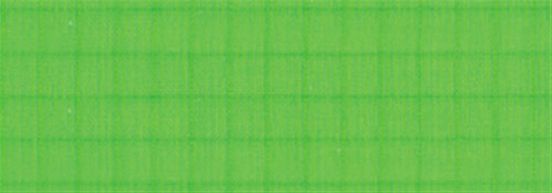 .75oz Ripstop Nylon Fabric