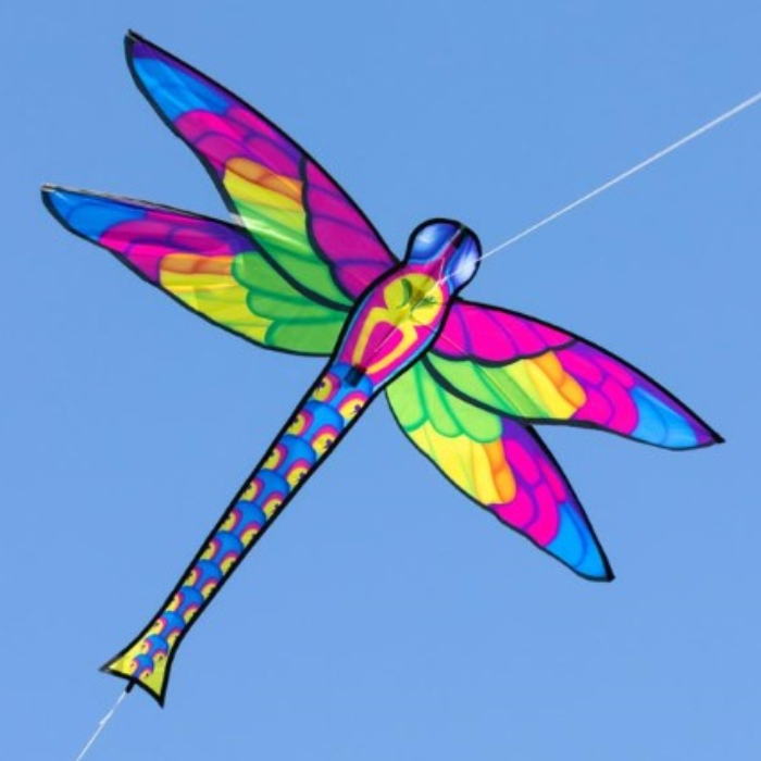 Eco Dragonfly Kite