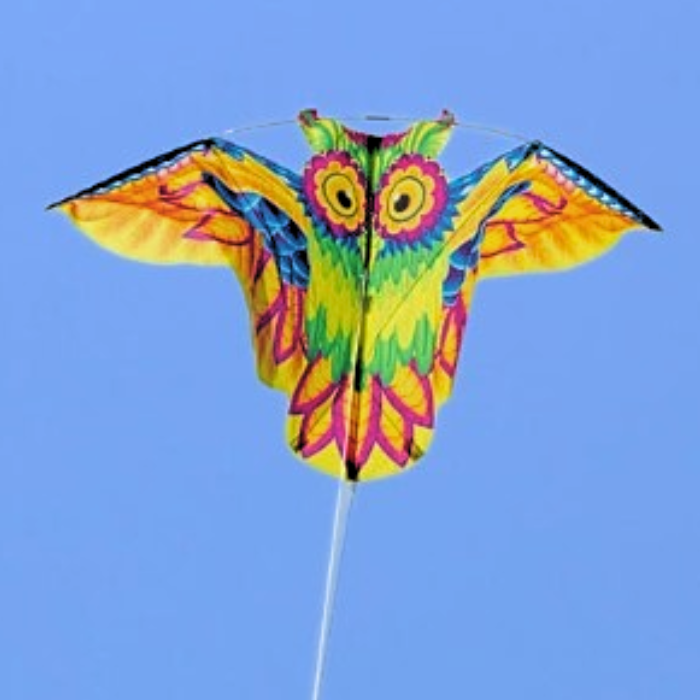 Eco Owl Kite