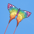Eco Butterfly Kite