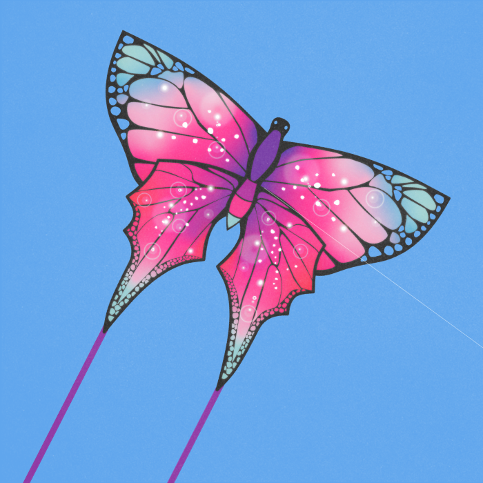 Eco Butterfly Kite