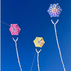 Lotus Kite