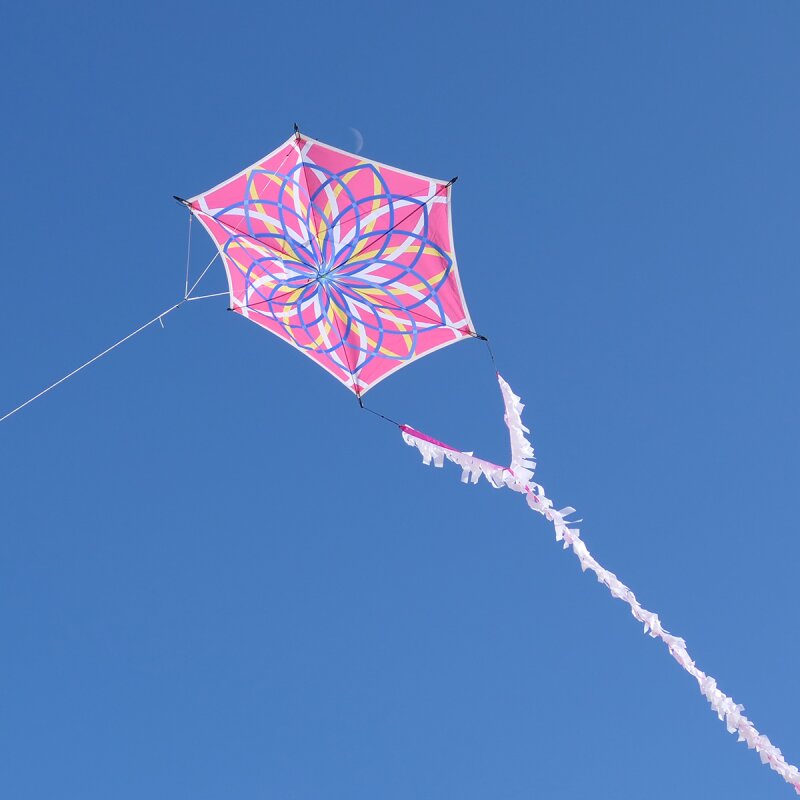 Lotus Kite