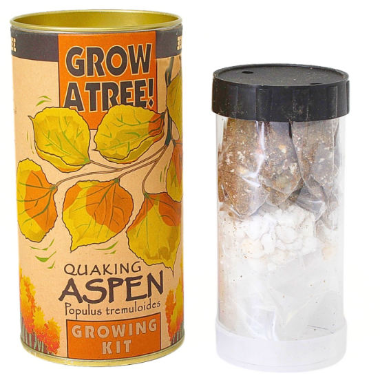 Tree Growing Kit