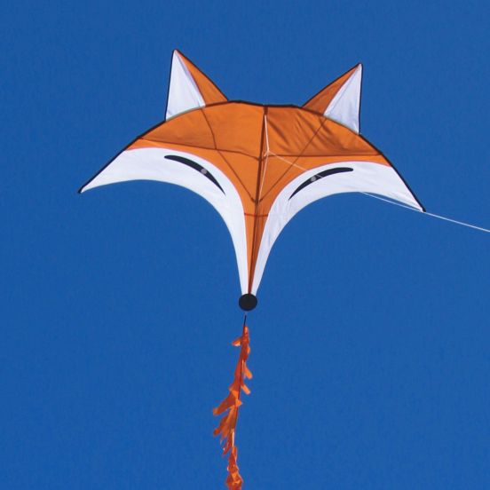 Flying Fox Kite