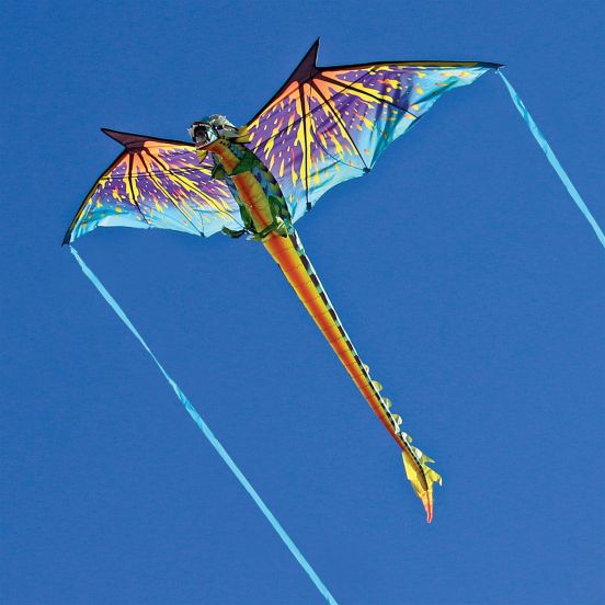 3-D Dragon Kite