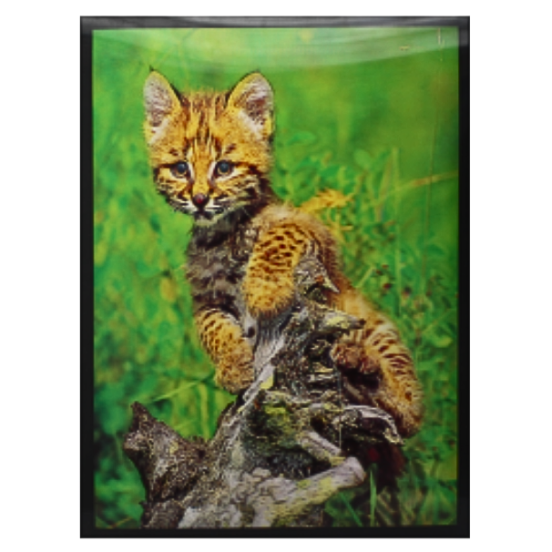 3D Nature Poster