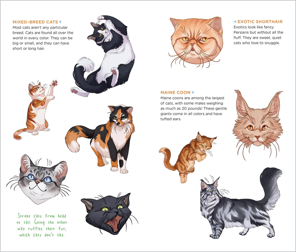 Temporary Tattoos that Teach