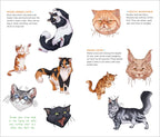 Temporary Tattoos that Teach