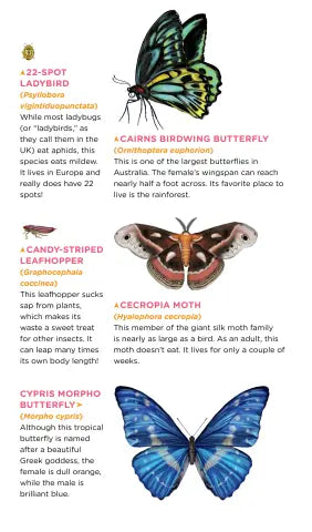 Temporary Tattoos that Teach