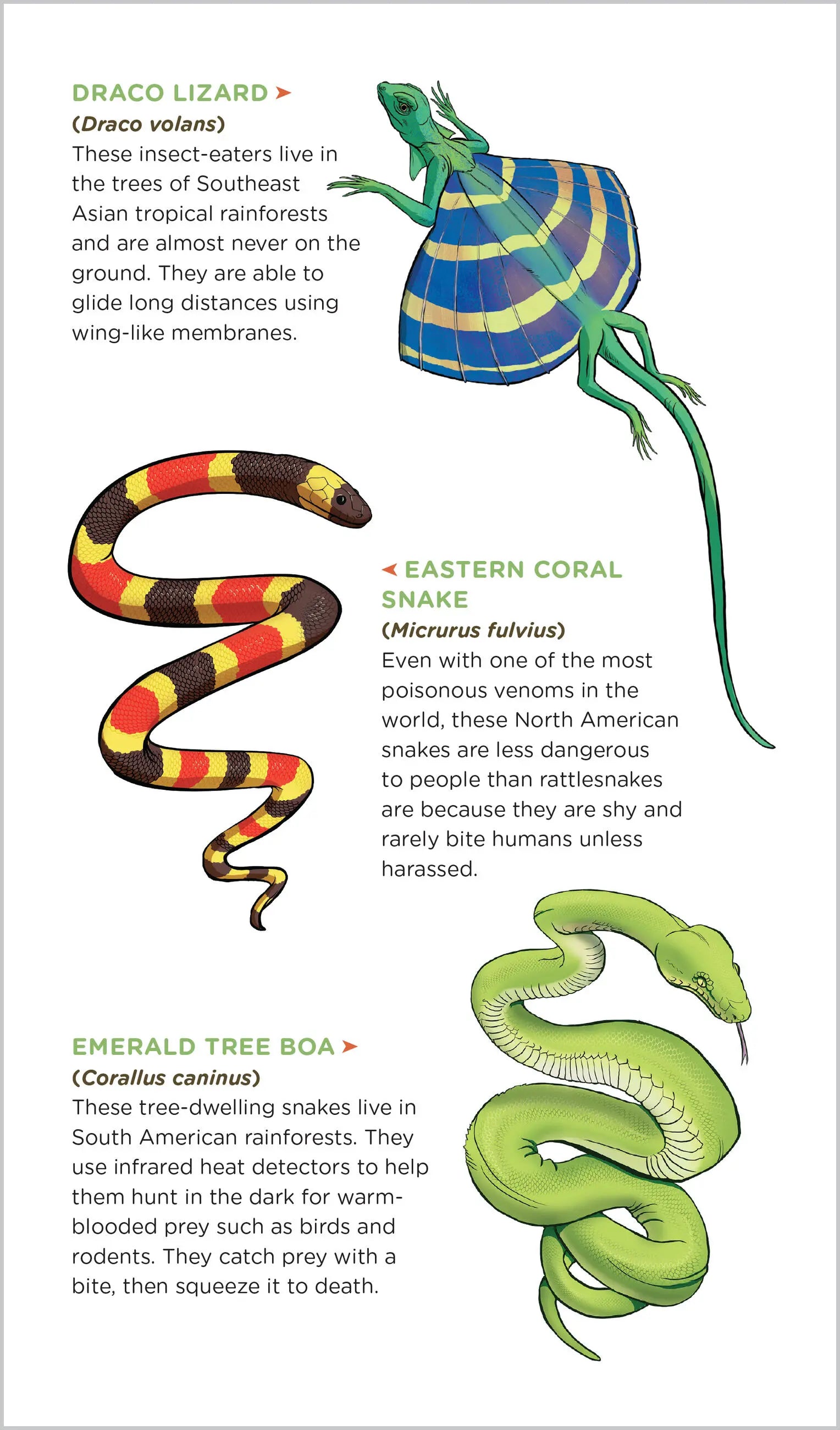 Temporary Tattoos that Teach