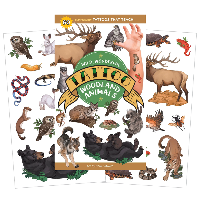 Temporary Tattoos that Teach