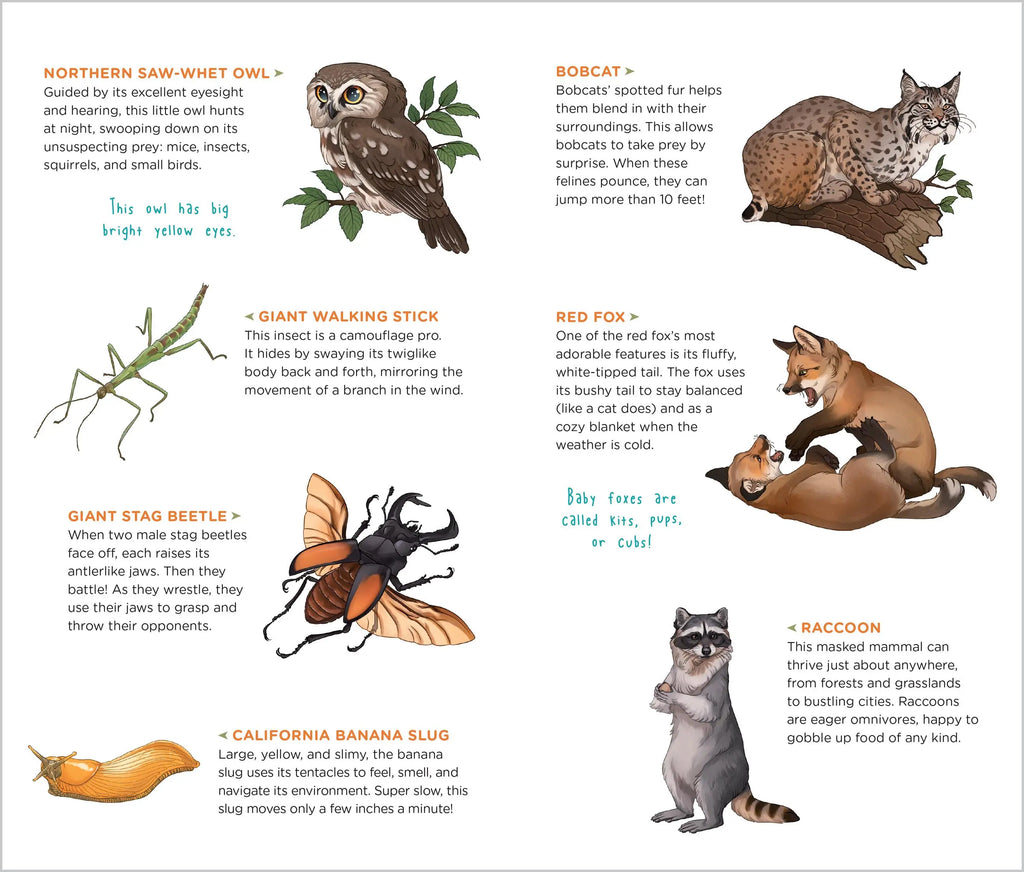 Temporary Tattoos that Teach