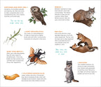 Temporary Tattoos that Teach
