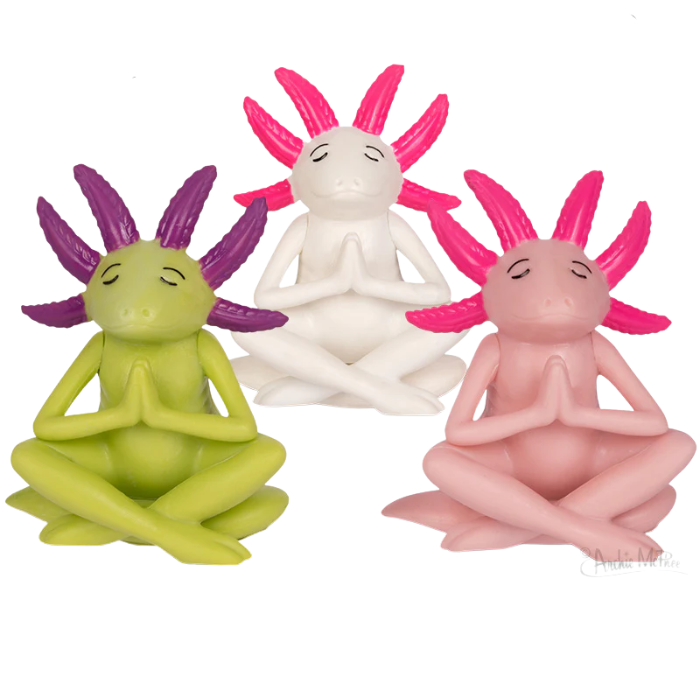Meditating Axolotl