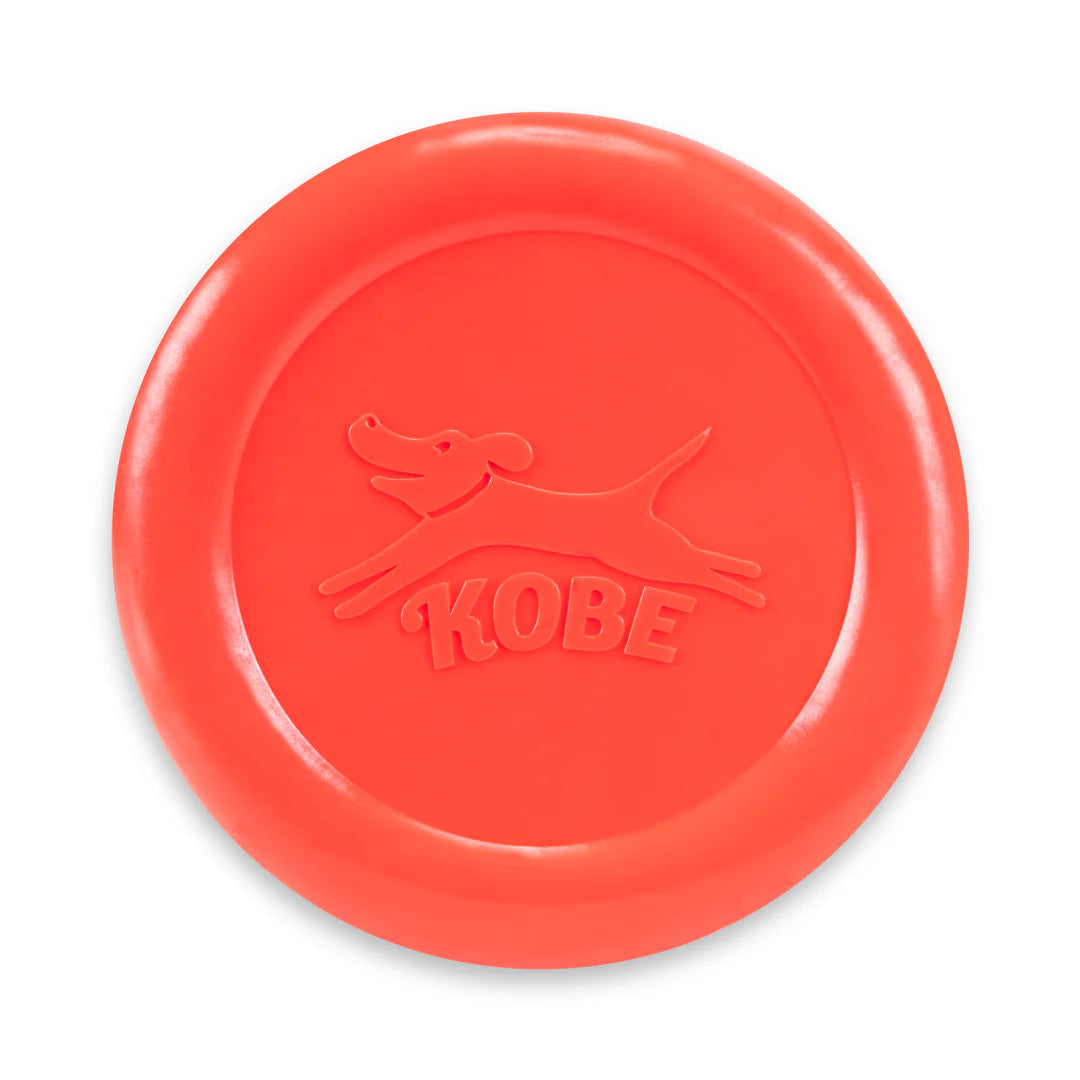 Bacon Scented Dog Disc