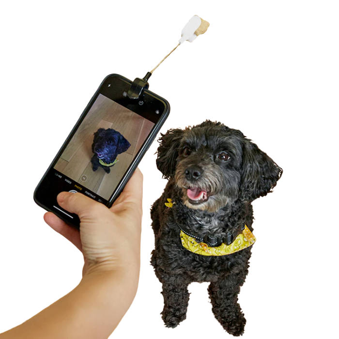 Dog Treat Selfie Clip